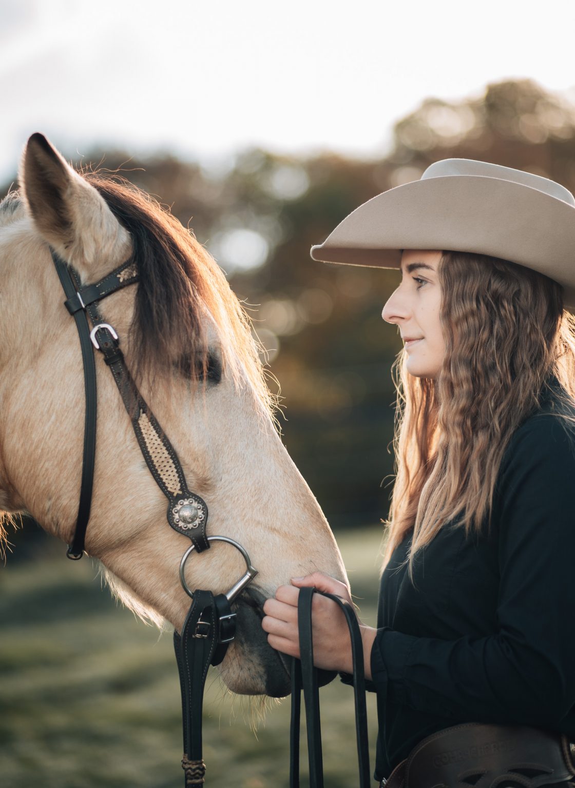 Zu meinen Disziplinen gehören u.A Trail, Horsemanship, Pleasure und